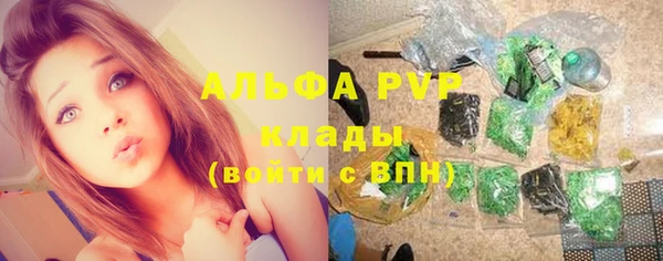 стафф Бронницы